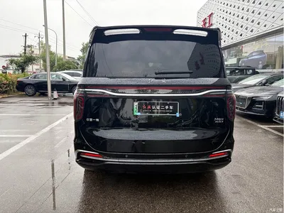 2024 Hongqi HQ9 PHEV Model 2.0T AWD Business Edition, фото 4, лот 11140424