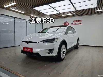 2019 Tesla Model X Long Range Version, фото 1, лот 10346196