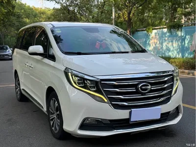2018 GAC Trumpchi Trumpchi M8 320T Premium Edition, фото 3, лот 10630092