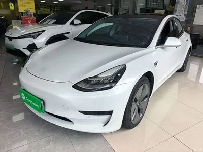 2020 Tesla Model 3 Standard Range Rear-Wheel Drive Upgrade, фото 2, лот 11301159