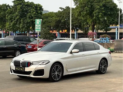 2022 BMW 5 Series 530Li Leading M Sport Package, фото 1, лот 11225427