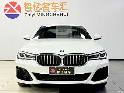 2023 BMW 5 Series 530Li Premium M Sport Package, фото 2, лот 10449434