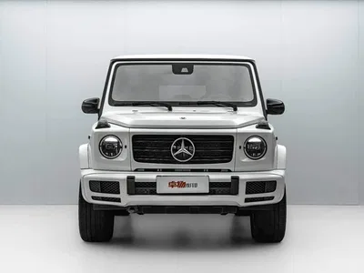 2020 Mercedes-Benz G-Class G 350, фото 2, лот 10304764