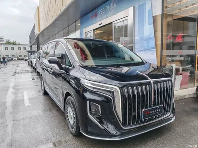 2023 Hongqi HQ9 2.0T Smart Connect Flag Smooth Edition, фото 3, лот 10287777