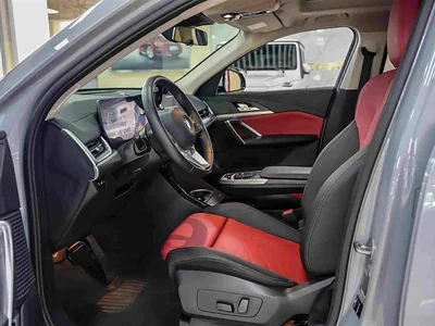 2024 BMW X2 (Import) sDrive25i M Sport Package, фото 4, лот 10447935