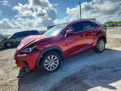 2020 LEXUS NX 300, фото 1, лот 10846820