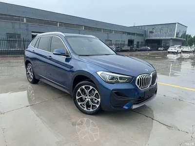 2022 BMW X1 sDrive25Li Leading, фото 3, лот 10423095