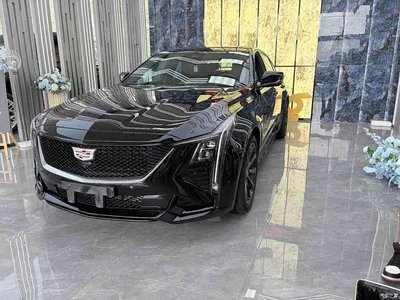 2024 Cadillac CT5 28T Premium, фото 1, лот 11002936