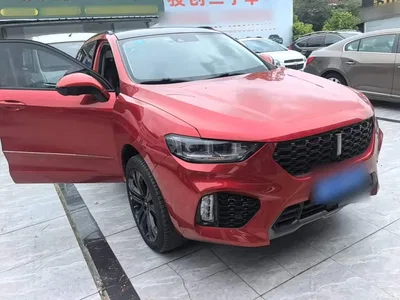 2017 WEY VV5 2.0T Flagship Model, фото 4, лот 10387807