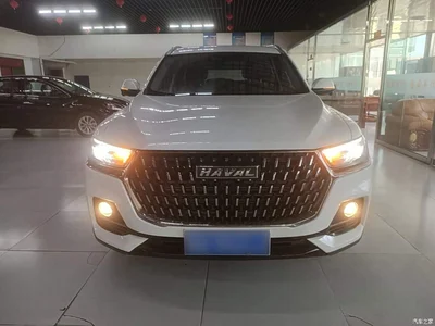 2023 Haval H6 National Trend Edition 1.5T Automatic Champion, фото 3, лот 10285890