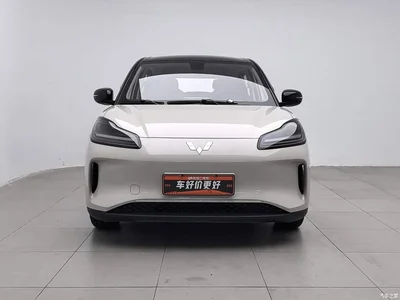 2024 Wuling Motors Wuling Binguo PLUS 510km Range 5-seater, фото 3, лот 10836438