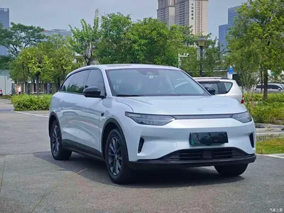 2023 Leapmotor C11 Pure Electric 500 Comfort Edition, фото 3, лот 10317373