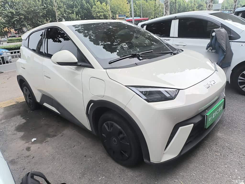 2024 BYD Seagull Glory Edition 305km Vitality Edition, фото 4, лот 11220084