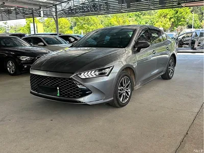 2023 BYD Qin PLUS Champion Edition DM-i 120KM Surpassing Type, фото 1, лот 10804155