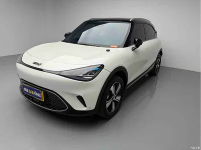 2024 smart Elf #1 Agile Standard Edition, фото 1, лот 10342890