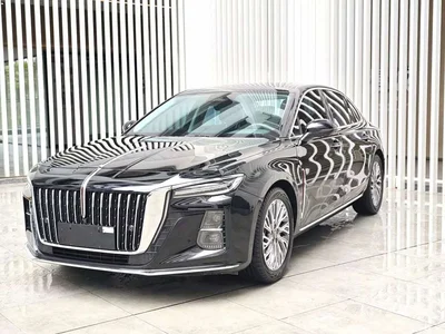 2023 Hongqi H5 1.5T DCT Smart Connect Joy Edition, фото 1, лот 11189448