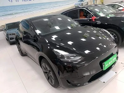2023 Tesla Model Y Rear-Wheel Drive Edition, фото 4, лот 11138793