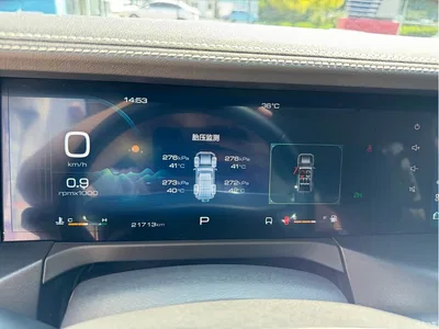 2024 Tank 300 Model 2.0T Challenger, фото 4, лот 10345059