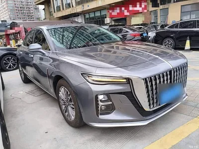 2024 Hongqi H5 1.5T DCT Smart Connect Flag Rhythm Edition, фото 4, лот 10289231