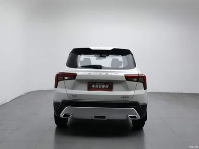 2020 Venucia T60 Model 1.6L Manual Zhiguan Edition China VI, фото 4, лот 10394016