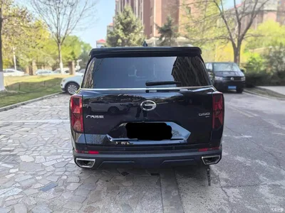 2024 GAC Trumpchi Trumpchi GS8 Navigator Series 2.0TGDI 4WD Luxury Smart Connect Edition, фото 3, лот 10289996