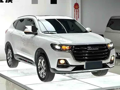 2021 Haval H6 Model National Trend Edition 1.5T Auto Champion, фото 3, лот 10301649
