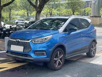 2019 BYD Yuan New Energy EV535 High Energy Navigation Edition, фото 1, лот 10272863
