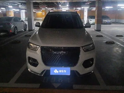 2021 Haval H6 Model 1.5T Automatic Champion Edition, фото 2, лот 10450605