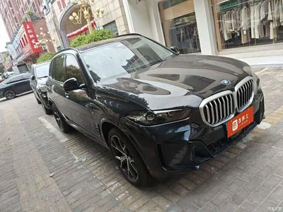 2025 BMW X5 Model xDrive 30Li Exclusive M Sport Blackout Package, фото 3, лот 10394678