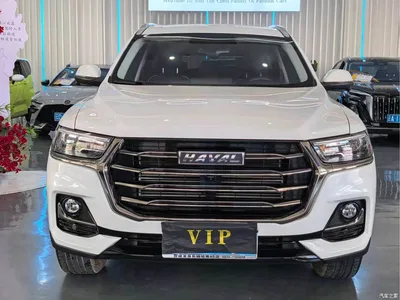 2023 Haval H6 National Trend Edition 1.5T Automatic Champion, фото 3, лот 10283813