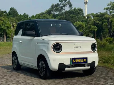 2023 Geely Galaxy Panda Mini 200km Endurance Bear, фото 3, лот 11011491