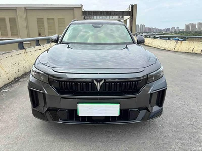 2025 Voyah Auto VOYAH FREE 318 318km RWD Touring Edition, фото 3, лот 10310976