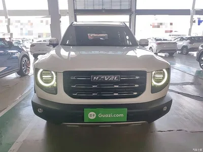 2021 Haval Big Dog 1.5T DCT 2WD Border Collie Edition, фото 3, лот 11094938