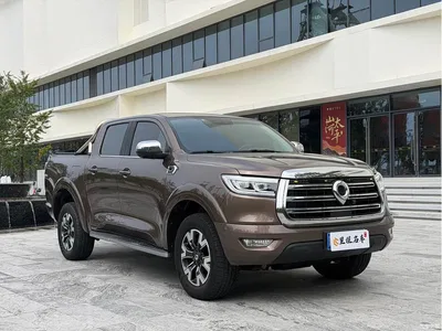 2019 Great Wall Pao 2.0T Automatic Gasoline 4WD Comfort GW4C20B, фото 3, лот 10408812