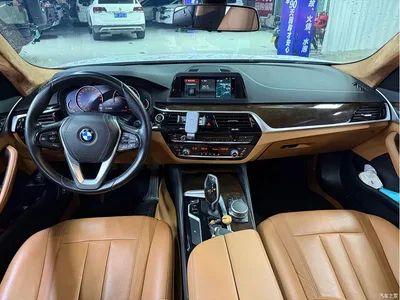 2018 BMW 5 Series 528Li Launch Special Edition, фото 4, лот 11178350