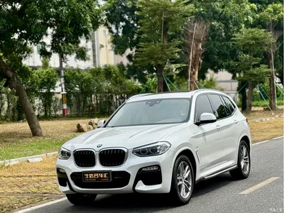 2018 BMW X3 xDrive25i M Sport Package China V, фото 1, лот 10431043