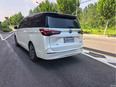 2023 Buick GL8 ES Landmaster Luxury, фото 3, лот 10256611