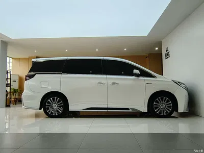2021 GAC Trumpchi Trumpchi M8 Master Series 390T Prestige Edition, фото 3, лот 10418471