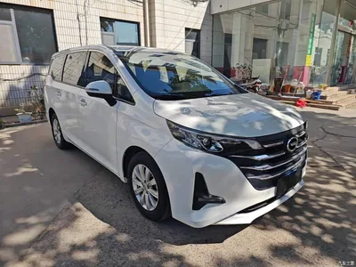 2019 GAC Trumpchi Trumpchi M6 270T DCT Luxury Edition (7-seater) (China VI), фото 4, лот 11568769
