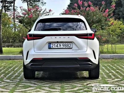 2025 Lexus NX 350h Premium, фото 4, лот 10780623