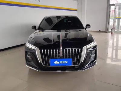 2025 Hongqi H5 2.0T Automatic Flag Celebration 500,000 Units Anniversary Edition, фото 2, лот 10393232