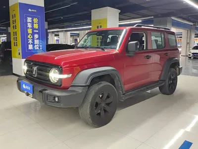 2021 Tank 300 Off-road Version 2.0T Conqueror, фото 1, лот 10396096