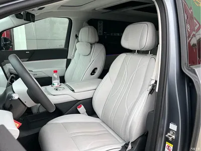 2025 XPeng X9 Starship Edition, фото 4, лот 10375012