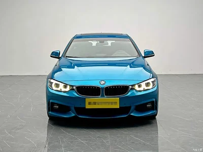 2017 BMW 4 Series 425i Gran Coupe Leading M Sport Package, фото 2, лот 10408442