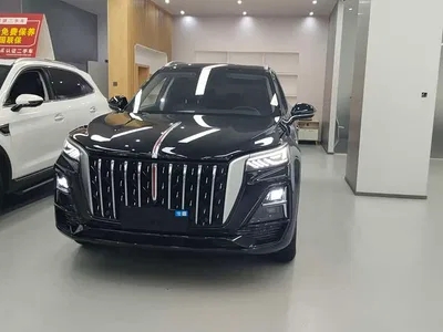 2023 Hongqi HS5 2.0T Flag Enjoy Pro Edition, фото 2, лот 10288407