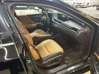 2020 Lexus ES 200 Excellence, фото 4, лот 10434776