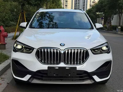 2020 BMW X1 sDrive25Li Leading Model, фото 2, лот 10466821