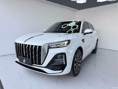 2023 Hongqi HS5 2.0T AWD Flag Pro 500,000 Units Commemorative Edition, фото 1, лот 10360977