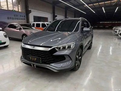 2024 BYD Song Pro New Energy Glory Edition DM-i 71KM Pilot, фото 1, лот 11413018