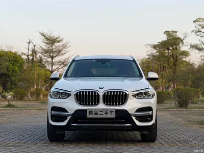 2019 BMW X3 xDrive28i Luxury Package, фото 2, лот 10461201